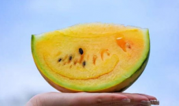 云南昆明吃瓜爆料视频,一场关于瓜子的风云际会